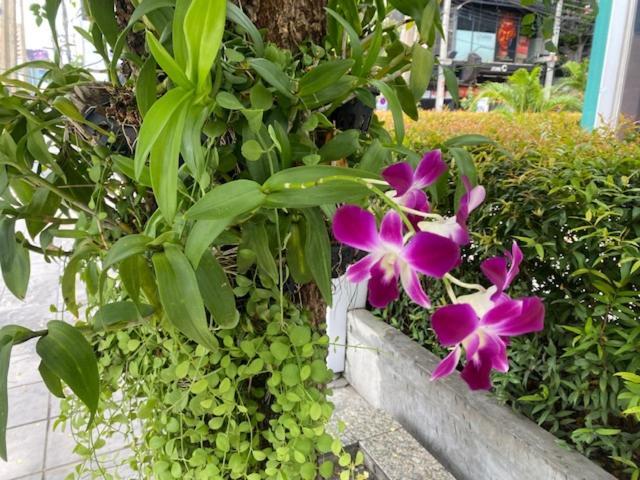 バンコク都Vivi Avenue Thonglorアパートメント エクステリア 写真